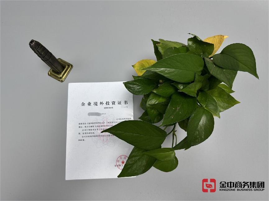 东南亚境外投资备案 东南亚境外投资备案